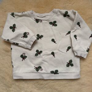 Organic Zoo Holiday Sweatshirt